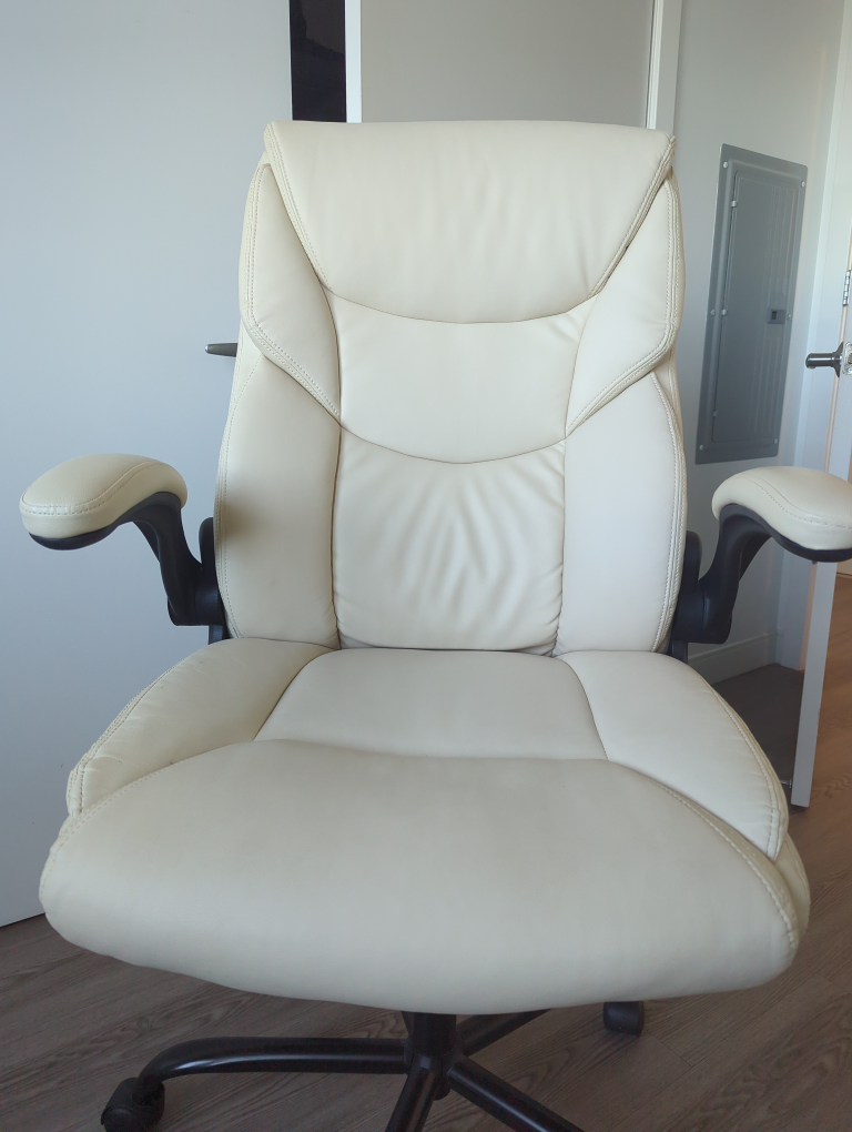 Executive Office Chair with Adjustable Arms - photo 4