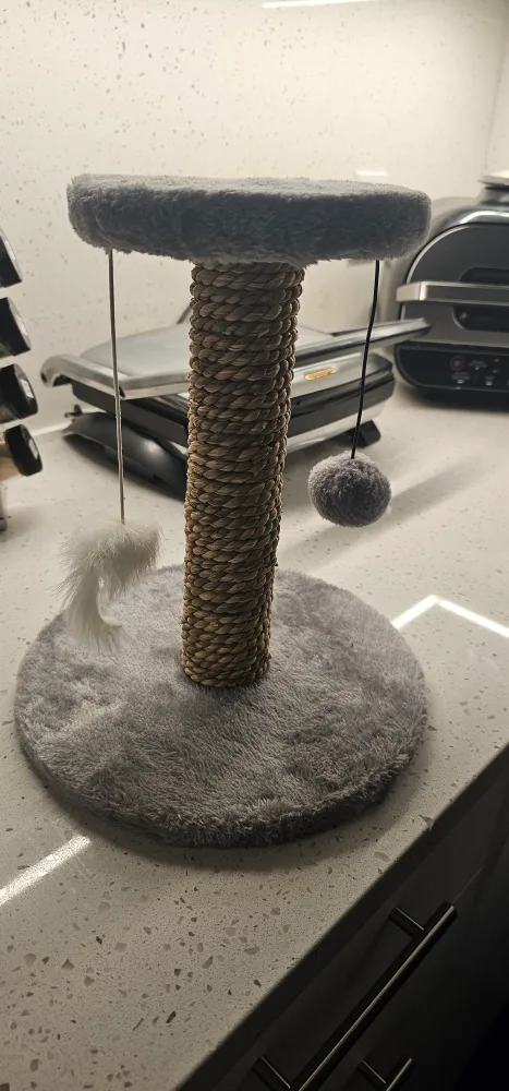 mini cat tree thumbnail