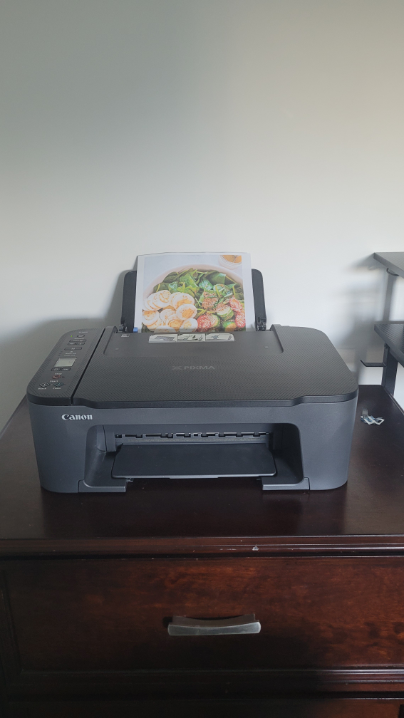 Canon PIXMA TS3429 Wireless Printer