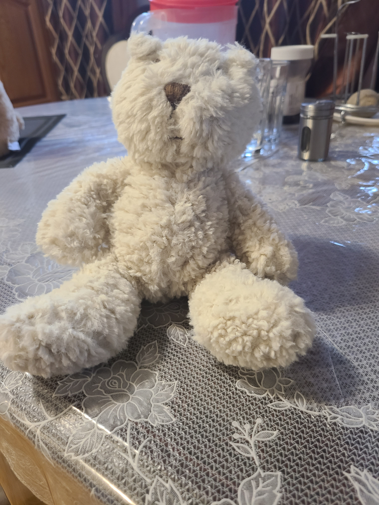 Gap Plush Teddy Bear