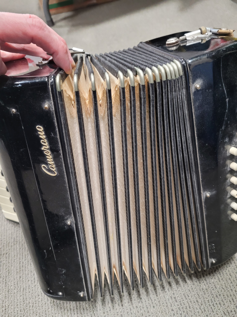 Vintage Camerano Accordion with half Case - photo 5