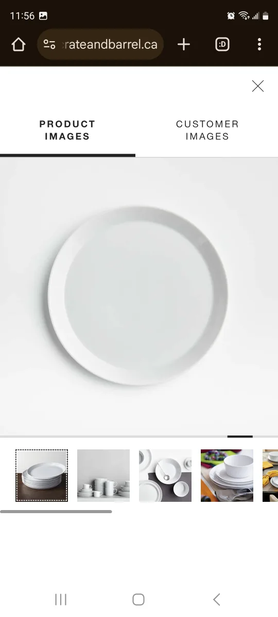 Crate & Barrel Dinner and Salad Plates - Set of 6 image indicator(2)