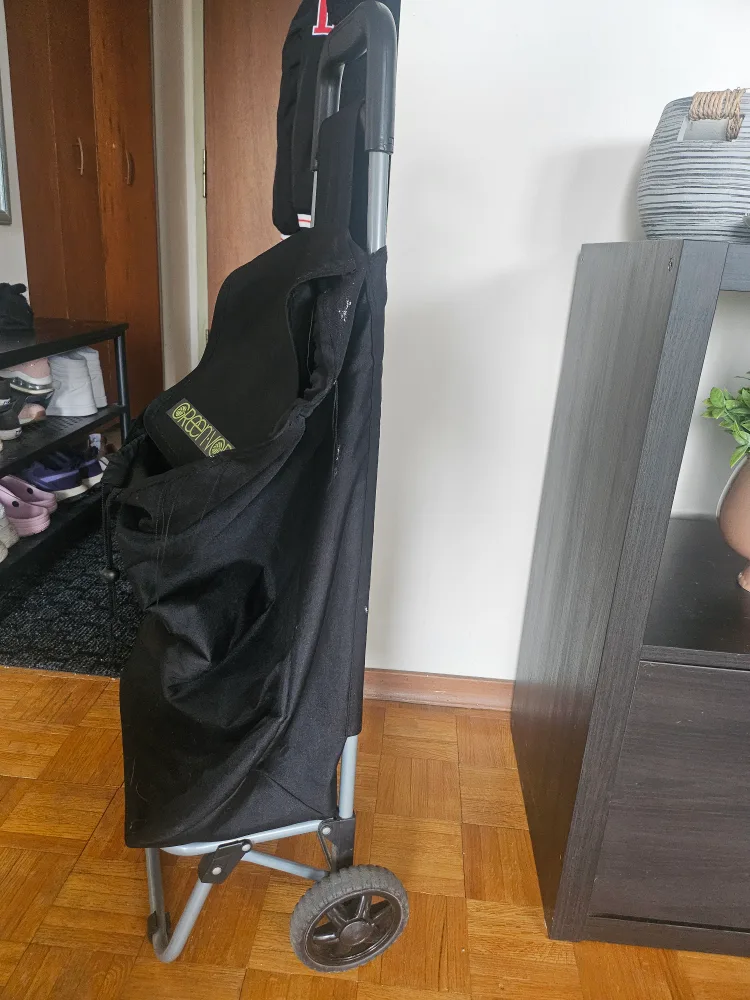 Rolling Shopping Cart with Collapsible Bag thumbnail
