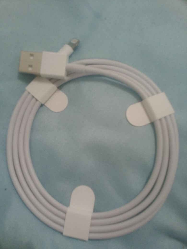 Apple Lightning to USB Cable