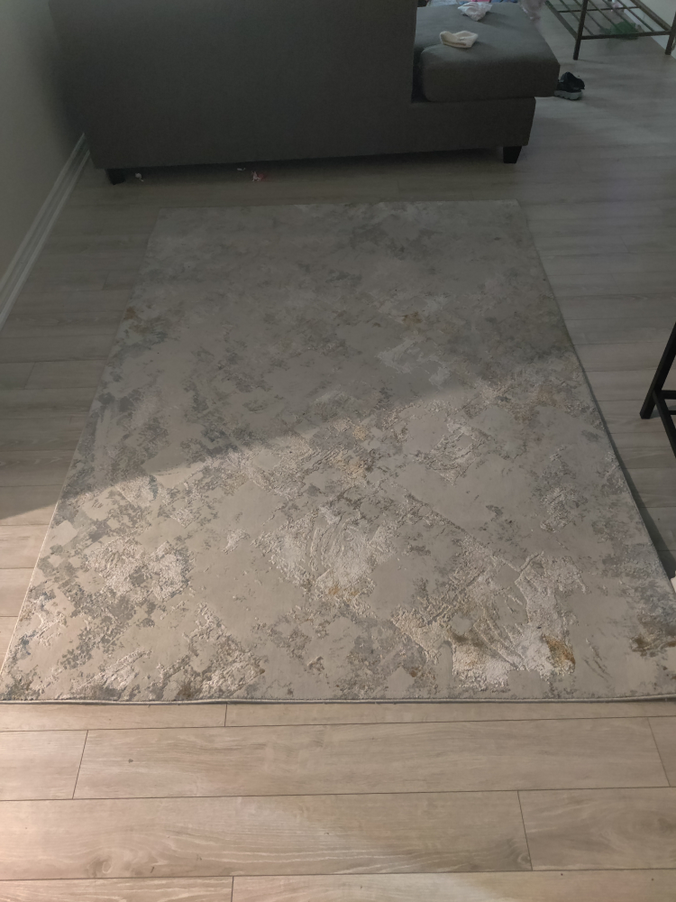 Large Grey and Beige Area Rug - photo 3