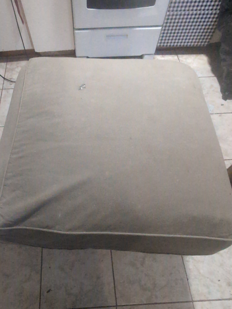dog bed