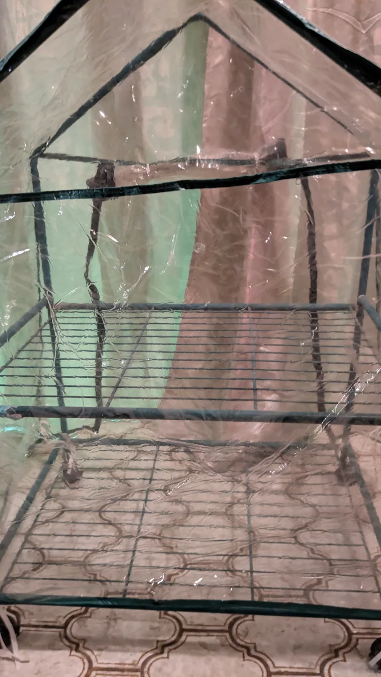 2 Tier  Hot House / Planter Protector / Herb Grower image indicator(5)