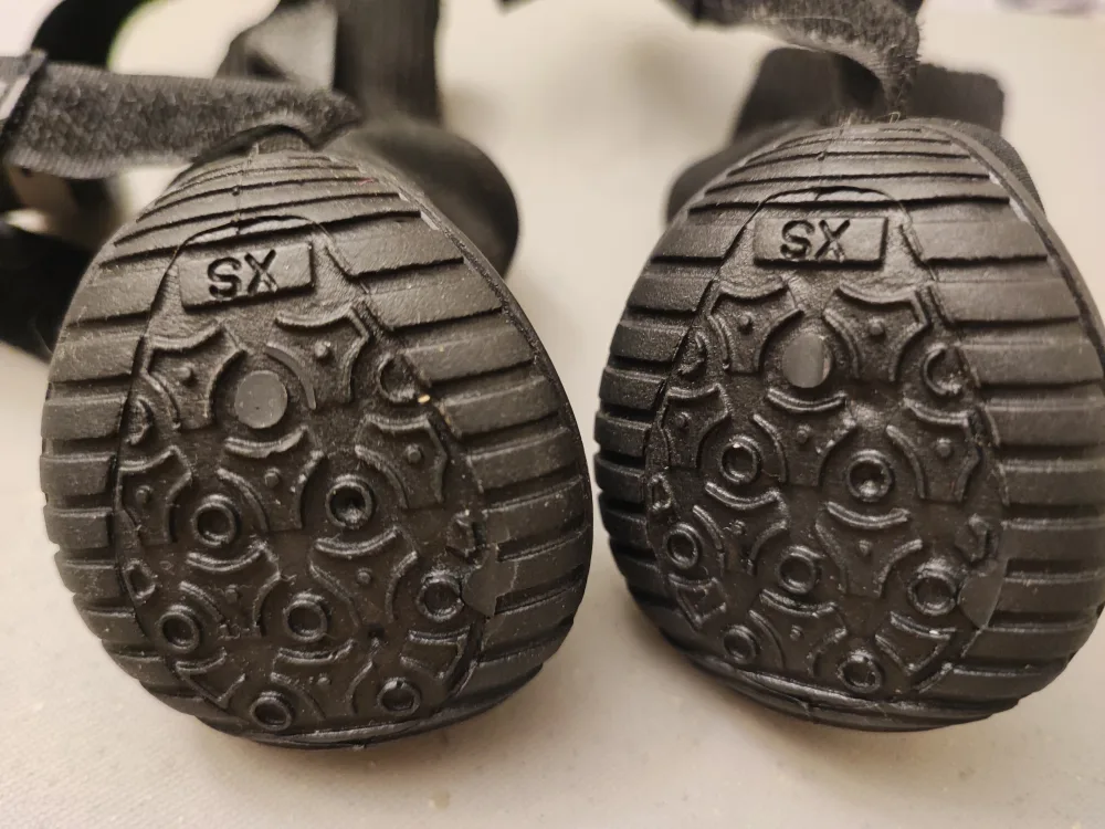 New 🆕 Dog Boots image indicator(2)