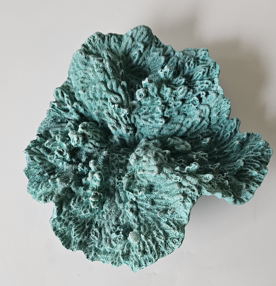 Teal Decorative Coral