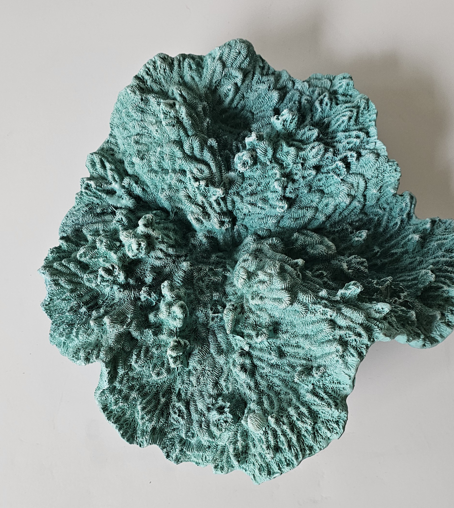 Teal Decorative Coral - photo 2