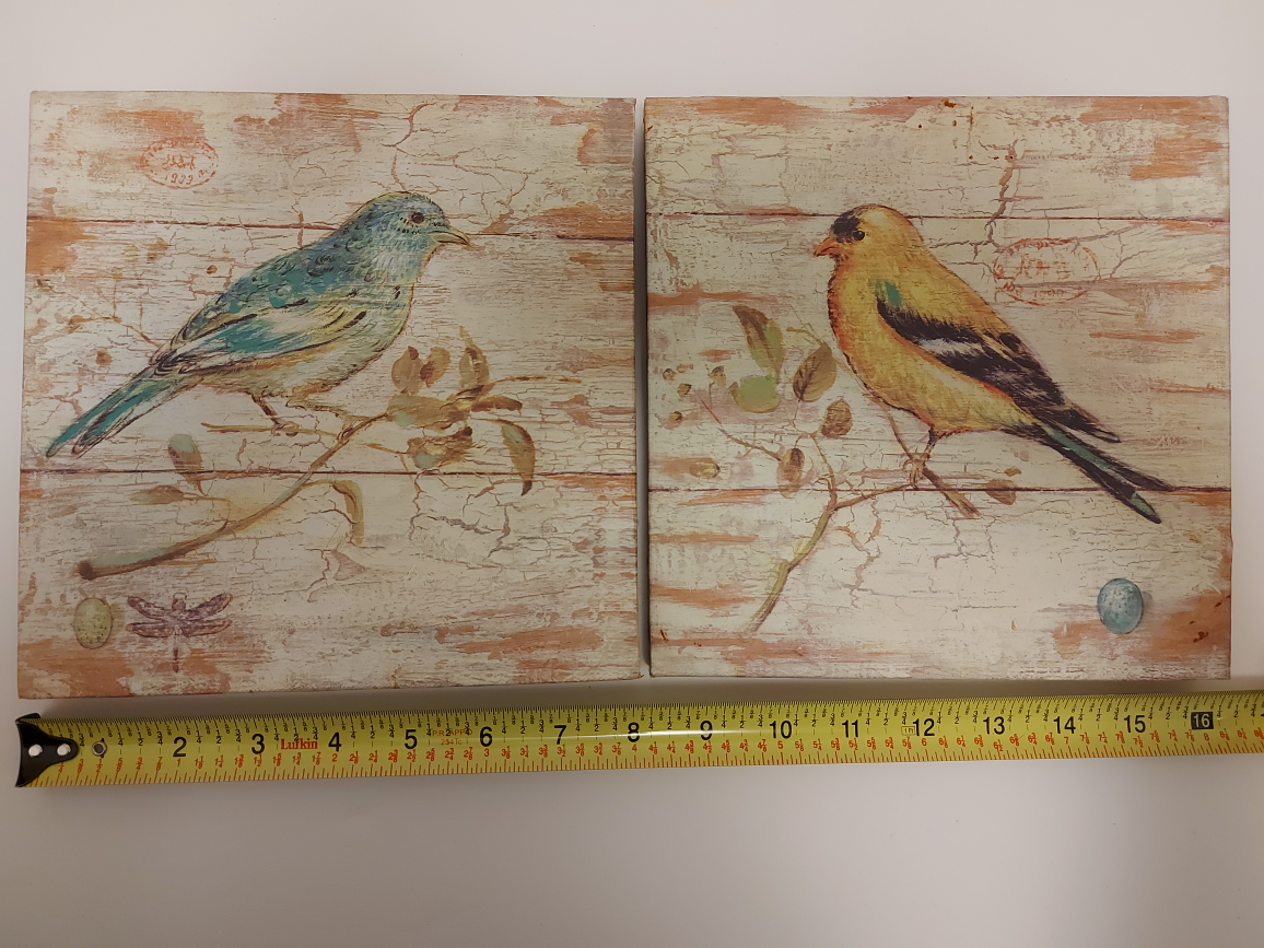 Cottagecore Set of 2 Bird Canvas Wall Art - photo 3