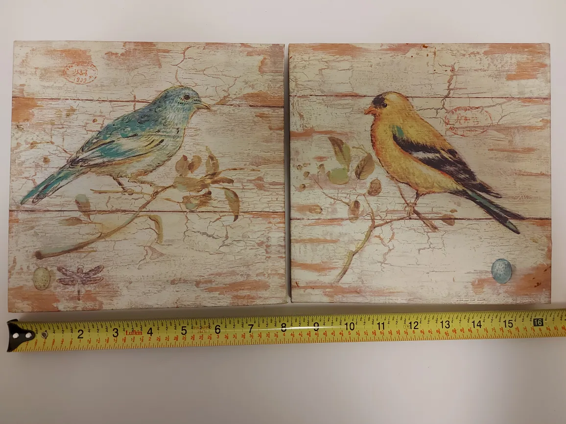 Cottagecore Set of 2 Bird Canvas Wall Art image indicator(3)