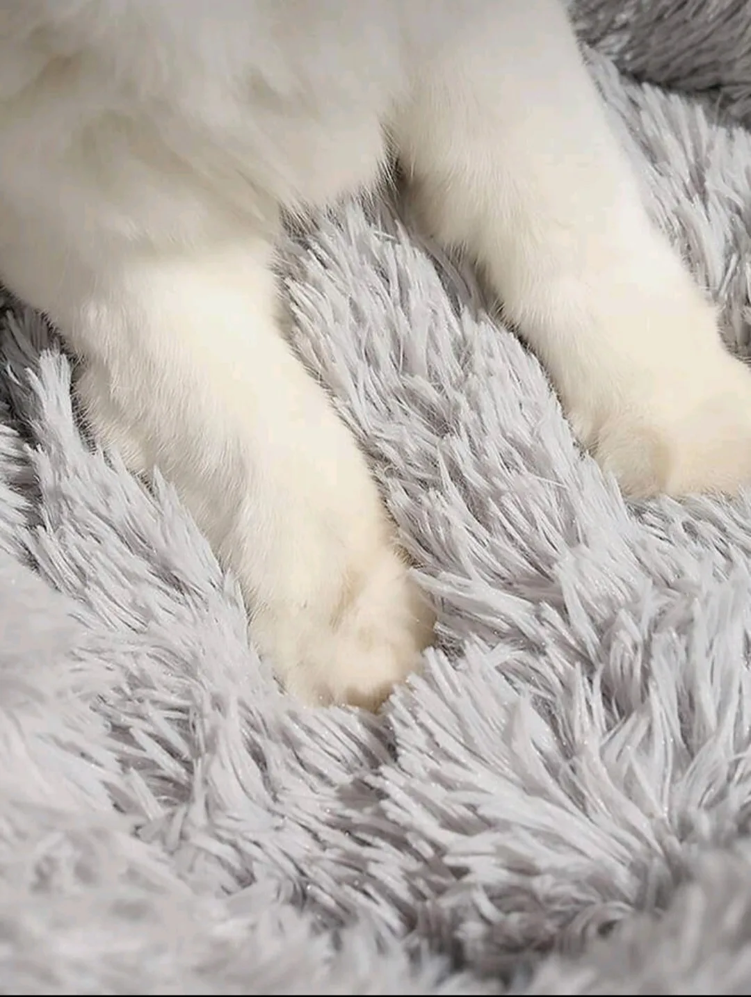 Warm Pet Bed For Cats & Small Dogs image indicator(2)