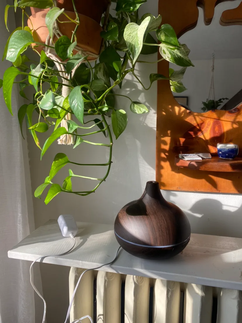 Essential oil diffuser 🧖‍♀️ image indicator(2)