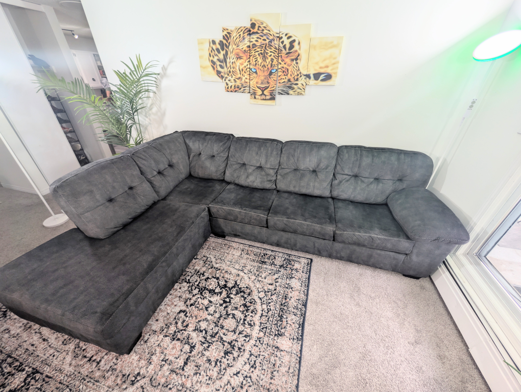 sectional Sofa- Ashley Accrington 2 Piece - photo 5