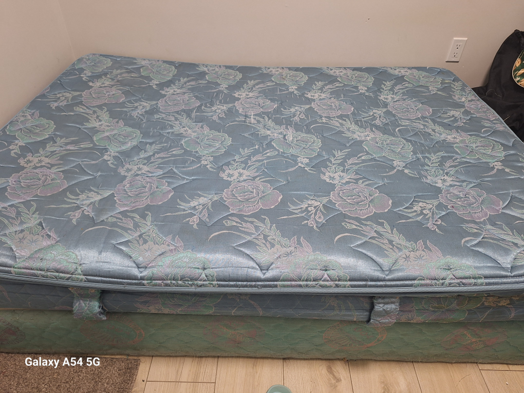 King Mattress and Box Spring + Double bed mattress & box springs - photo 5