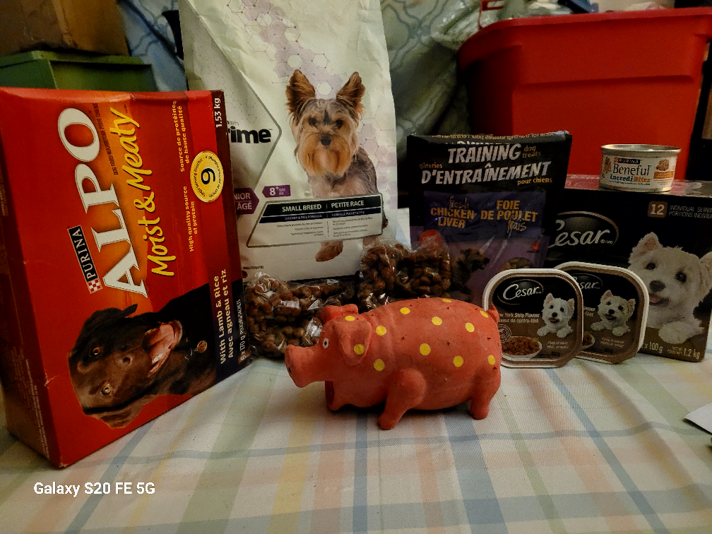 Dog Food and Treats Lot
