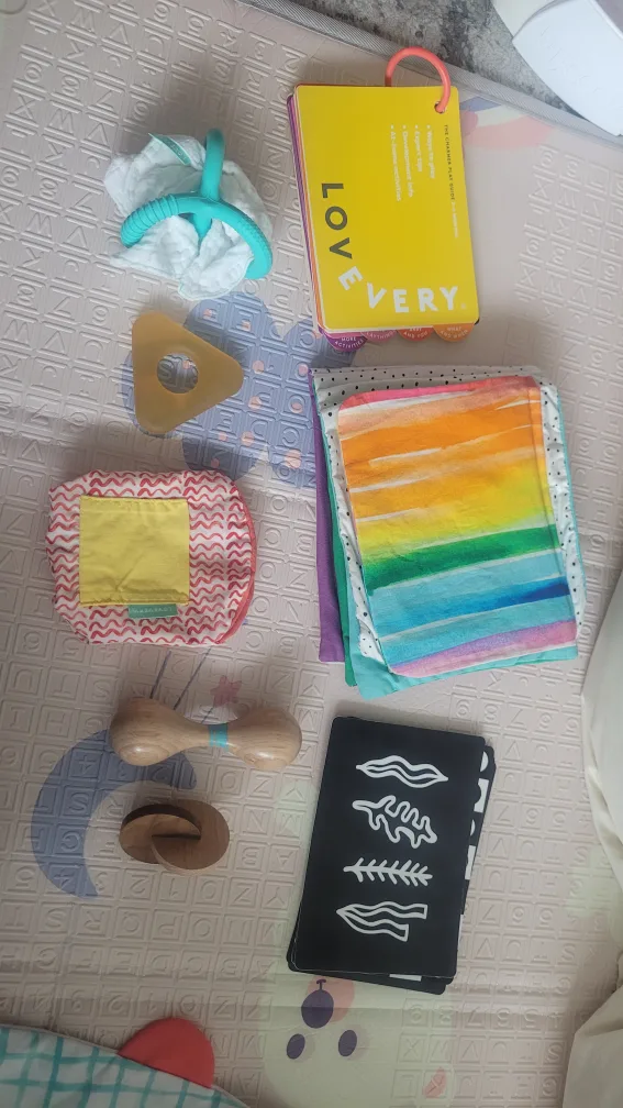 Lovevery Play Kit: 3-4 Months image indicator(4)