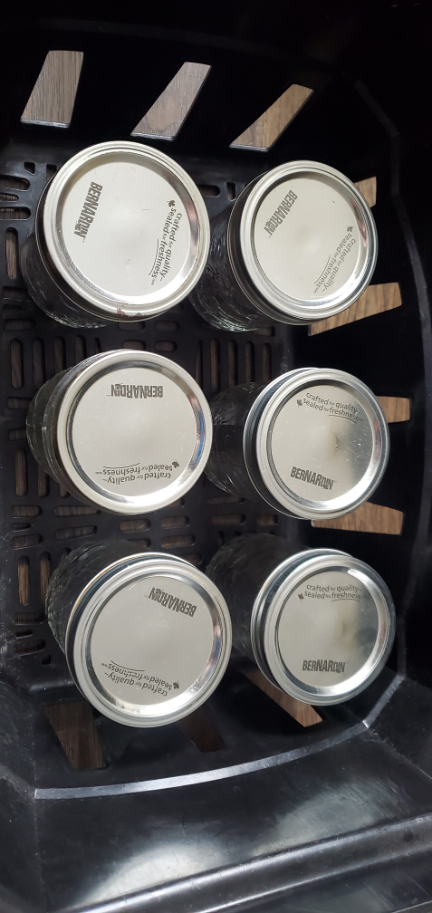 12 Golden Harvest Mason Jars, 500ml, Regular Mouth - photo 3