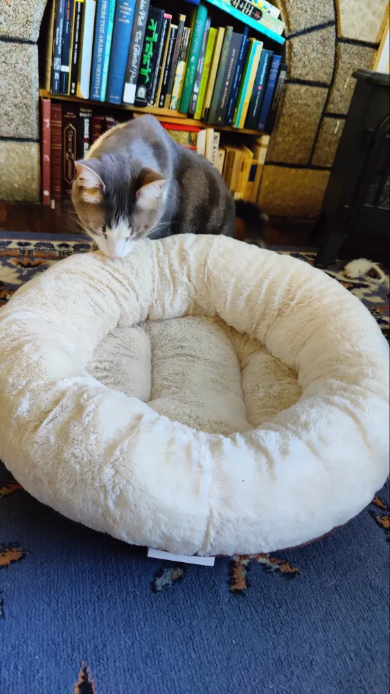 Frisco Round Bolster Cat & Dog Bed - Small image indicator(4)