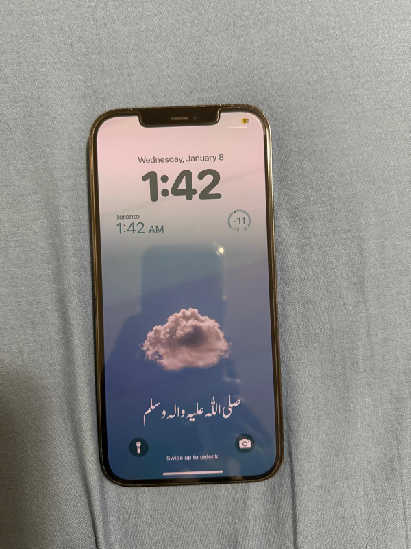iPhone 12 Pro Max Sierra Blue 128 GB - photo 3