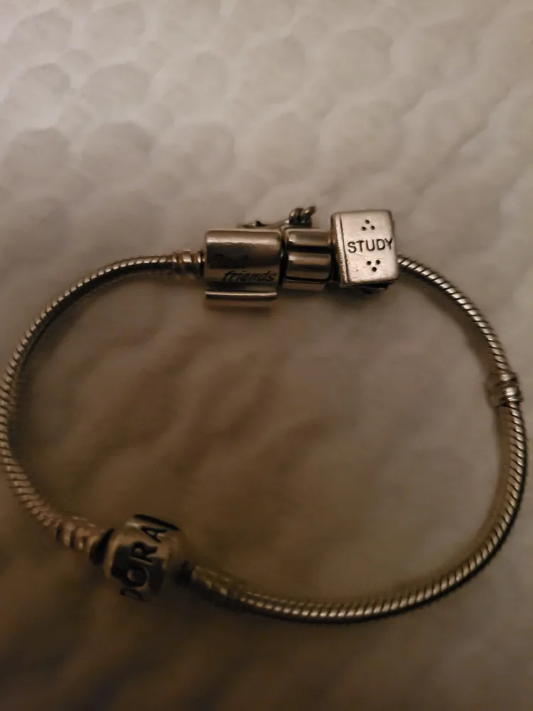 Pandora Charm Bracelet with Charms image indicator(2)