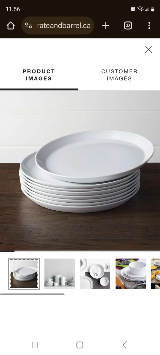 Crate & Barrel Dinner and Salad Plates - Set of 6 image indicator(3)