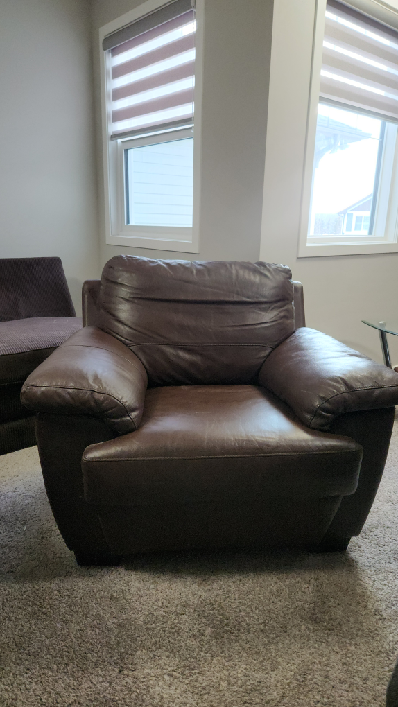 Brown Leather Lounge Chair