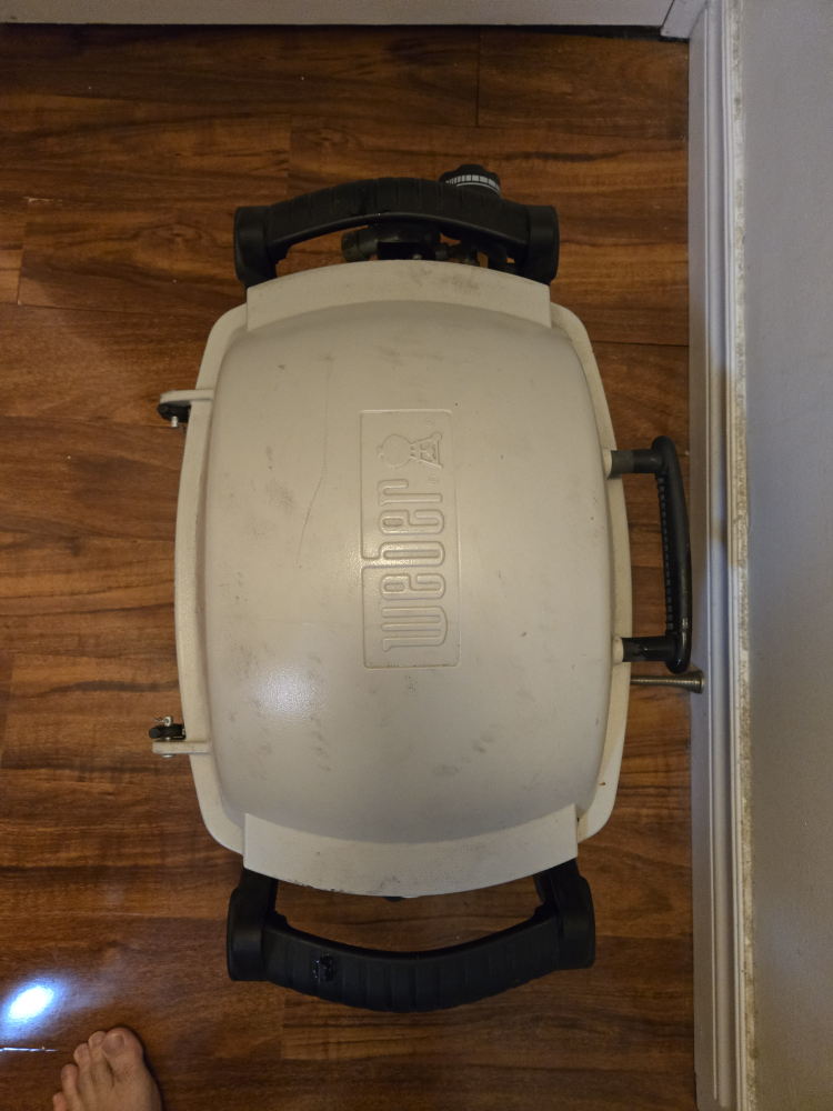 Weber Q 100 Portable Gas Grill