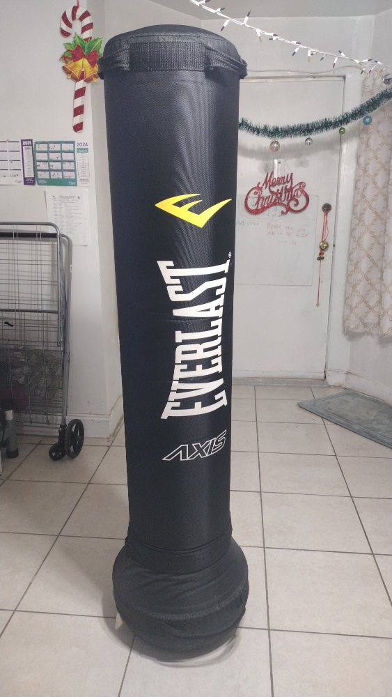 Everlast Axis Free Standing Punching Bag