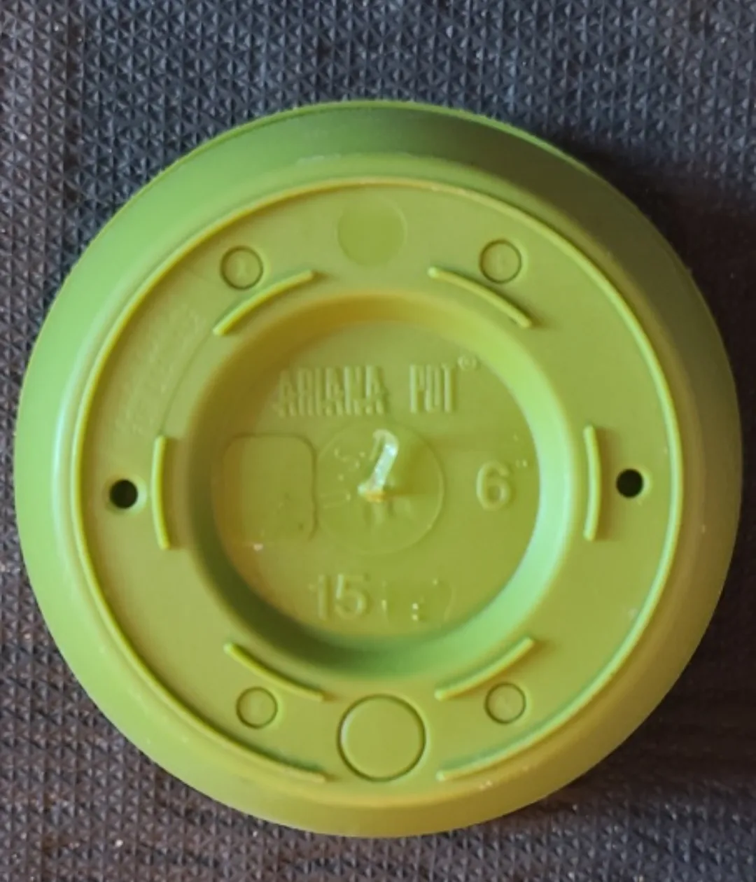 Ariana Pot 6" Lime Green Plastic Planter🌱 image indicator(3)