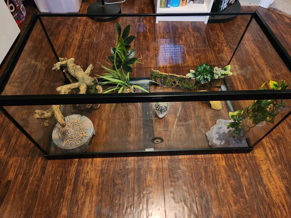 Reptile terrarium with accessories