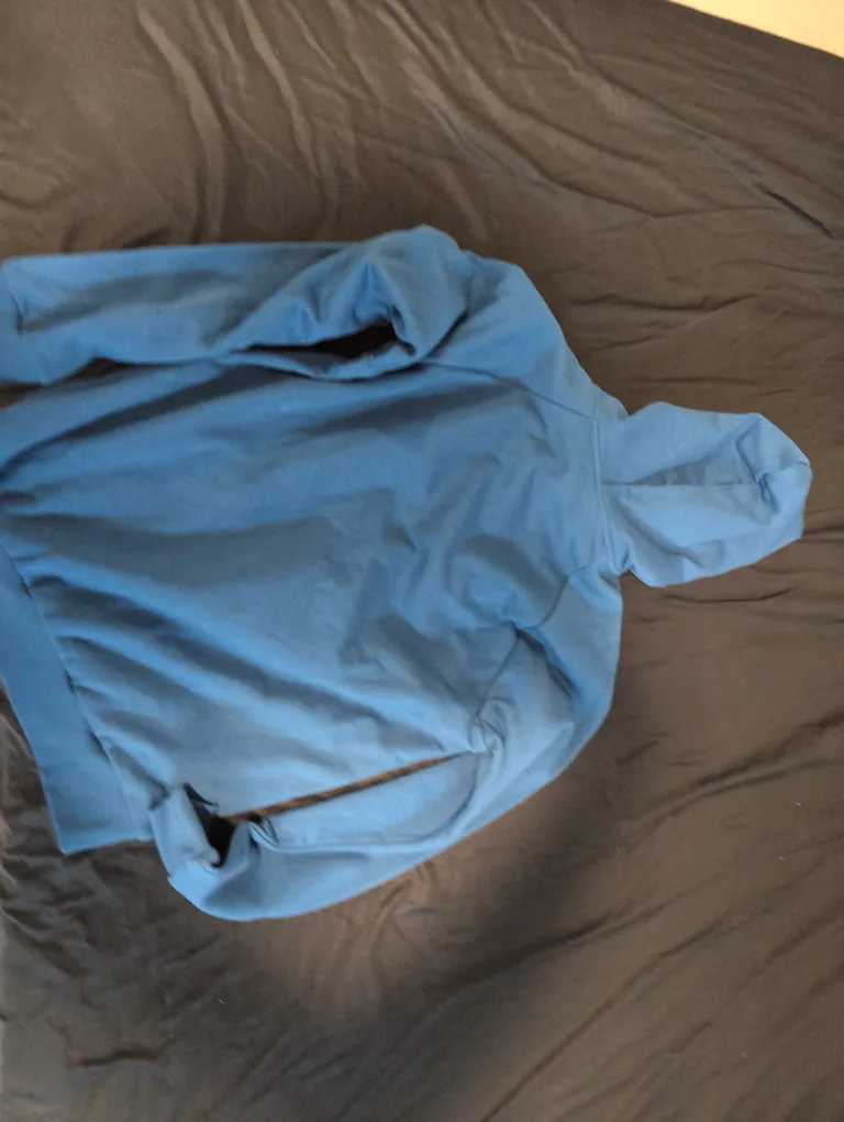 champion hoodie blue image indicator(3)