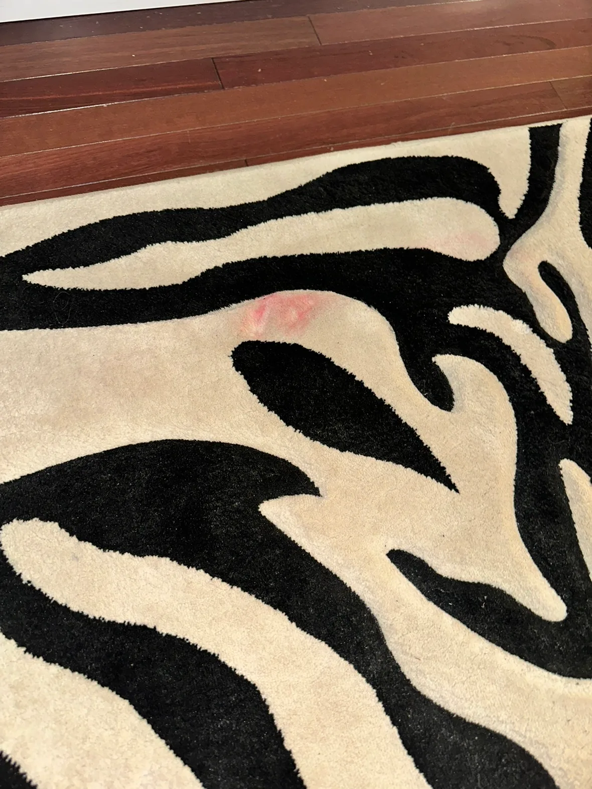 Black and White Zebra Area Rug image indicator(4)