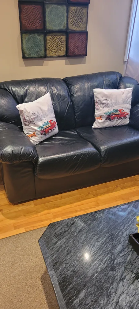 Black Leather Sofa image indicator(2)