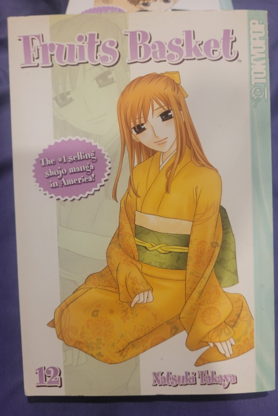 Manga: Fruits Basket Vol. 12