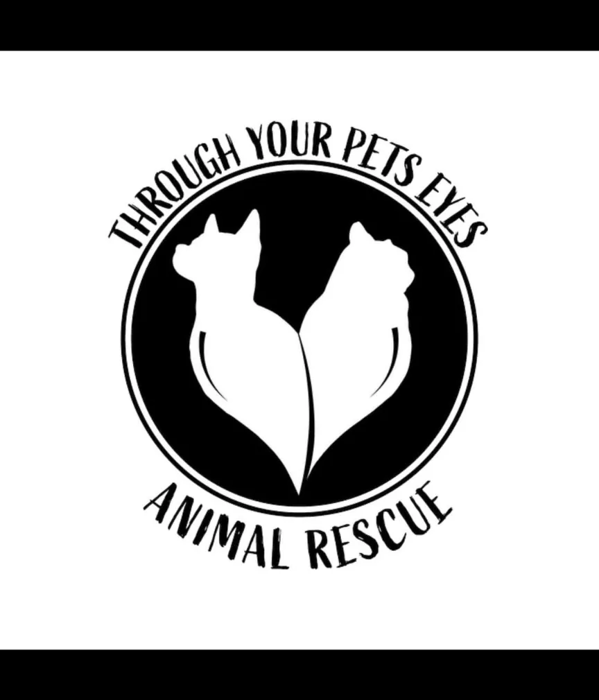 PLAK Mounted Puppy Collage Print, custom 🐶 image indicator(8)