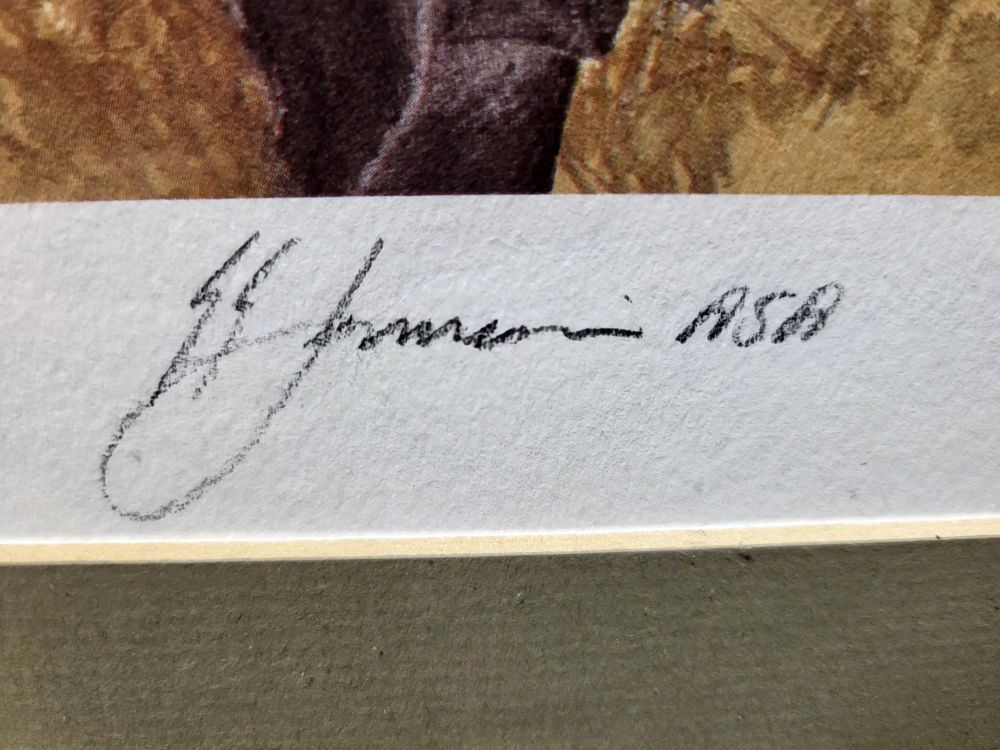 Framed Geoffrey Jamieson Print - 135/150 - photo 2