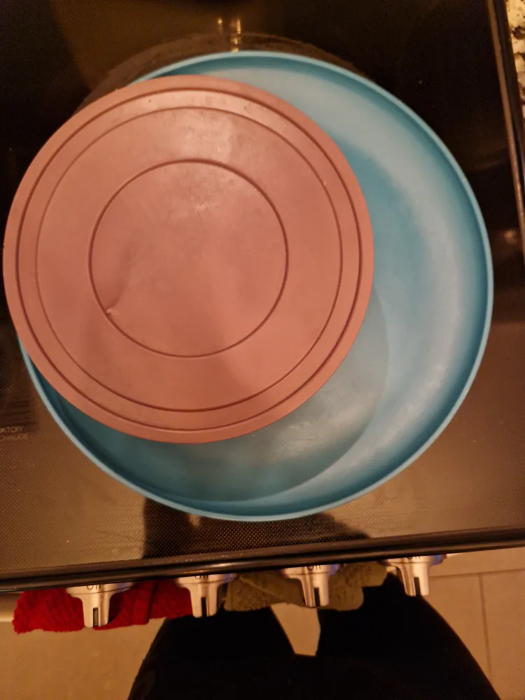 Purple Plastic Container and Large Blue Plastic Plate thumbnail