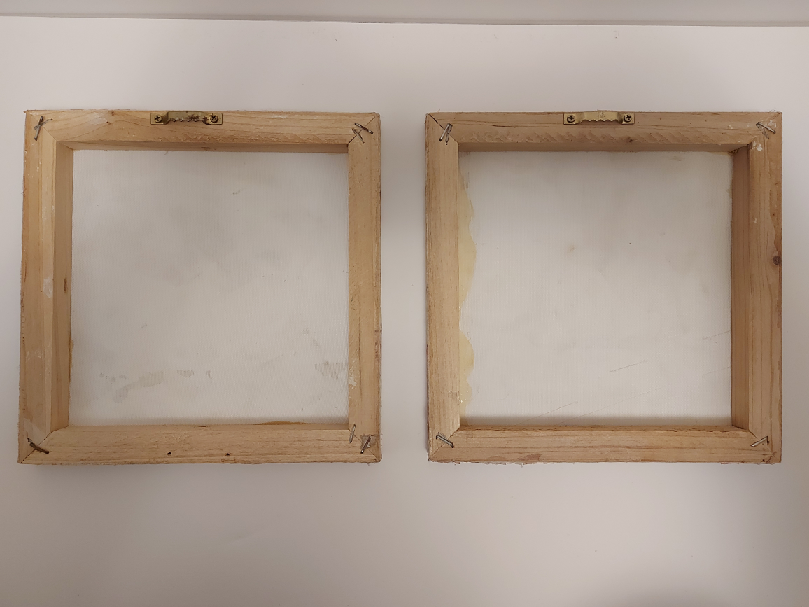 Cottagecore Set of 2 Bird Canvas Wall Art - photo 2