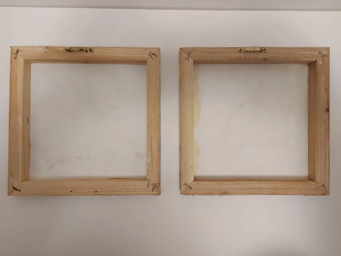 Cottagecore Set of 2 Bird Canvas Wall Art image indicator(2)