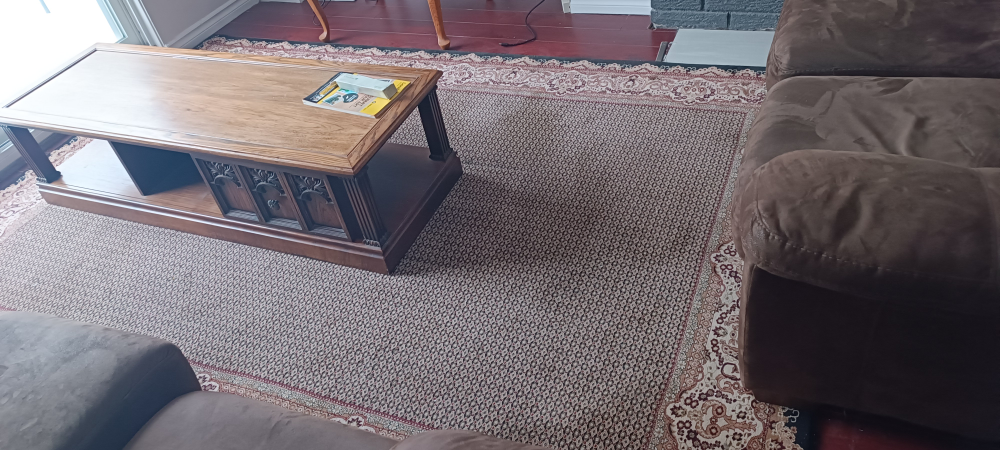 Vintage Wooden TV/Coffee Table with Storage - photo 3