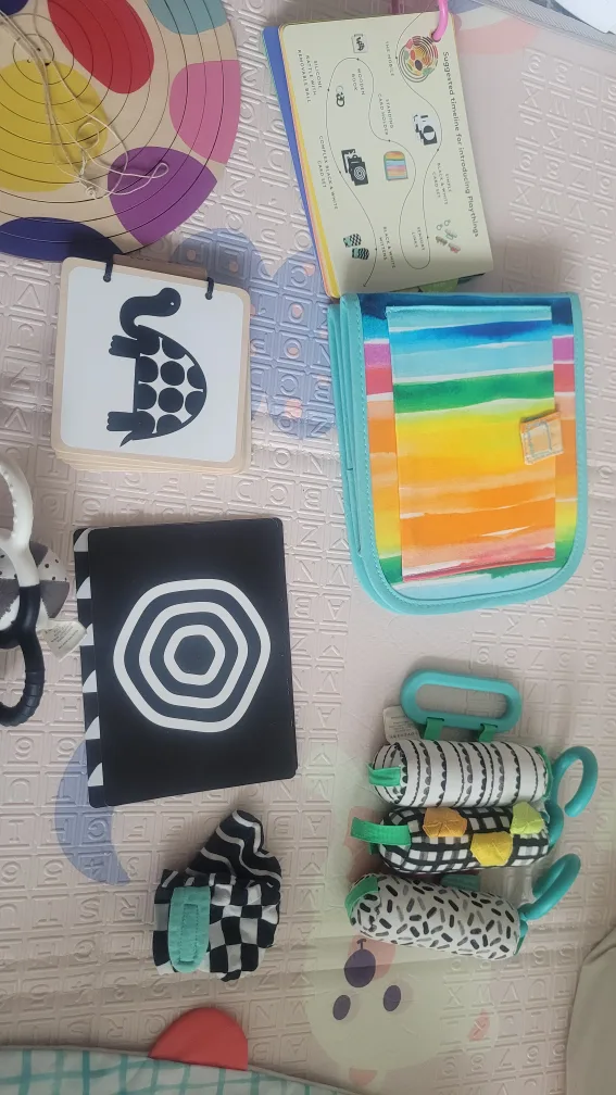 0-12 weeks Baby Plaything Set - Sensory Toys, Books & More! image indicator(4)
