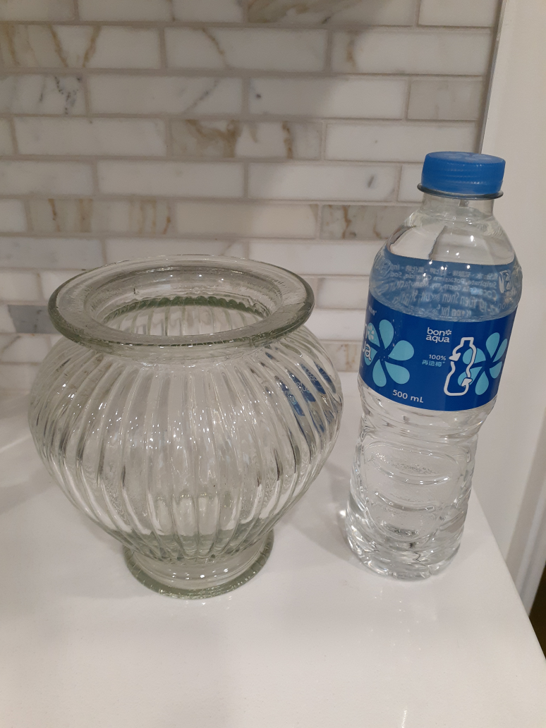 Clear Glass Ribbed Vase - photo 3