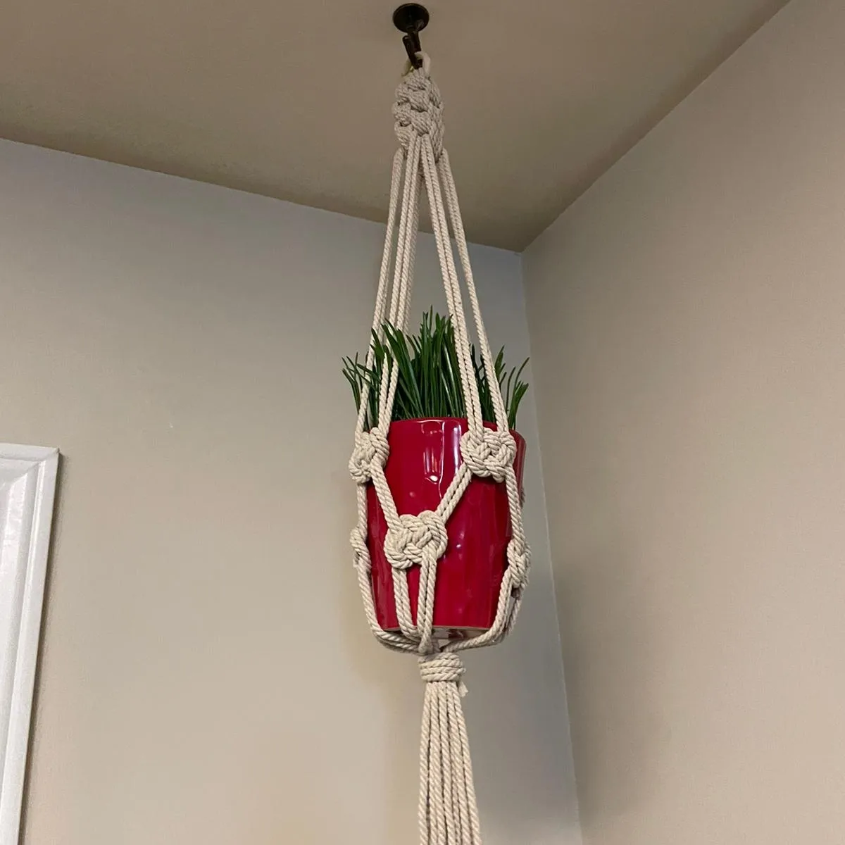 macreme plant hanging - photo 4
