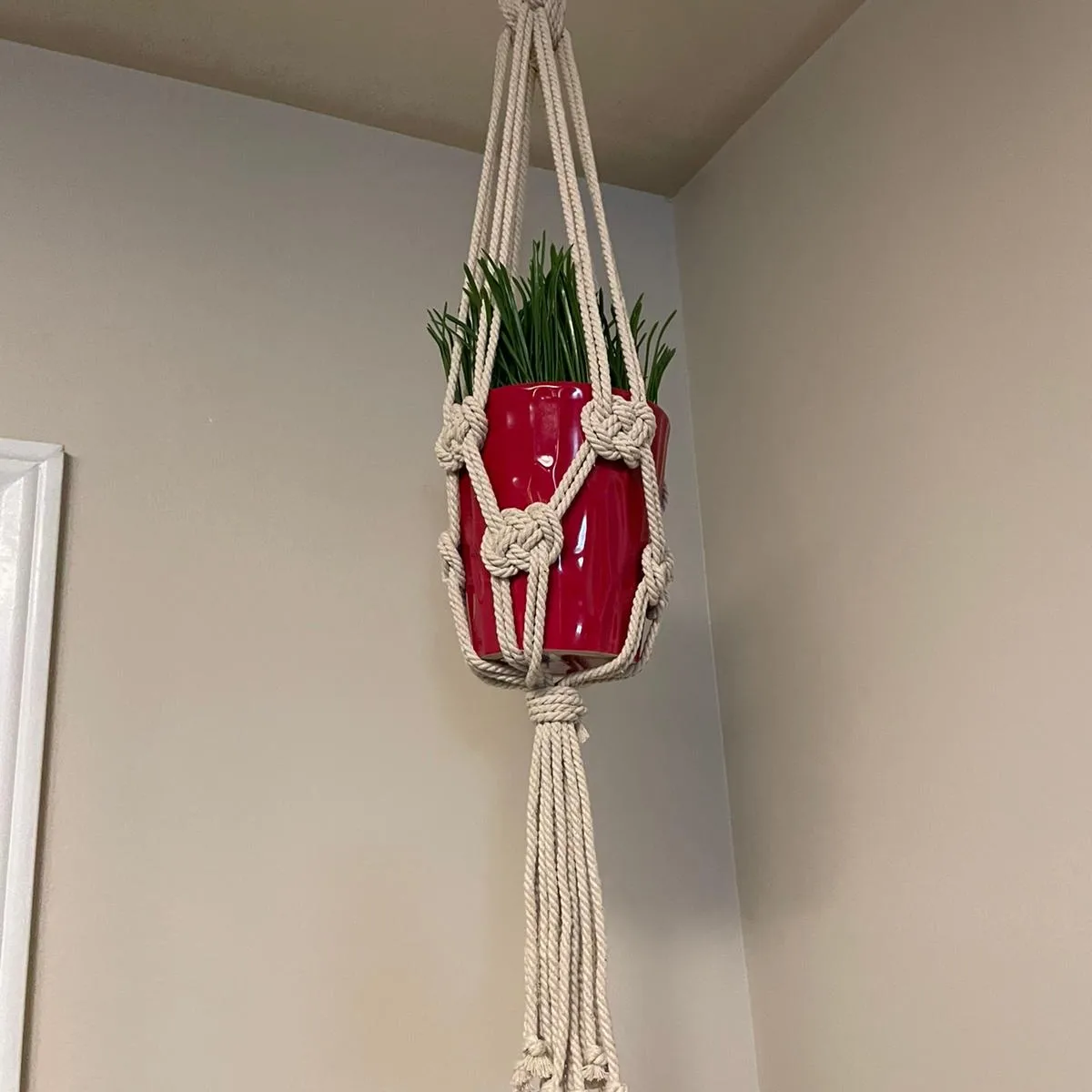 macreme plant hanging - photo 5