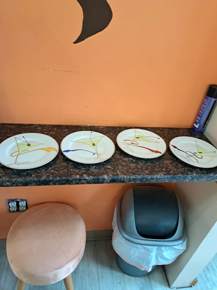 Set of Four Pier 1 Martini Design Salad Plates image indicator(2)