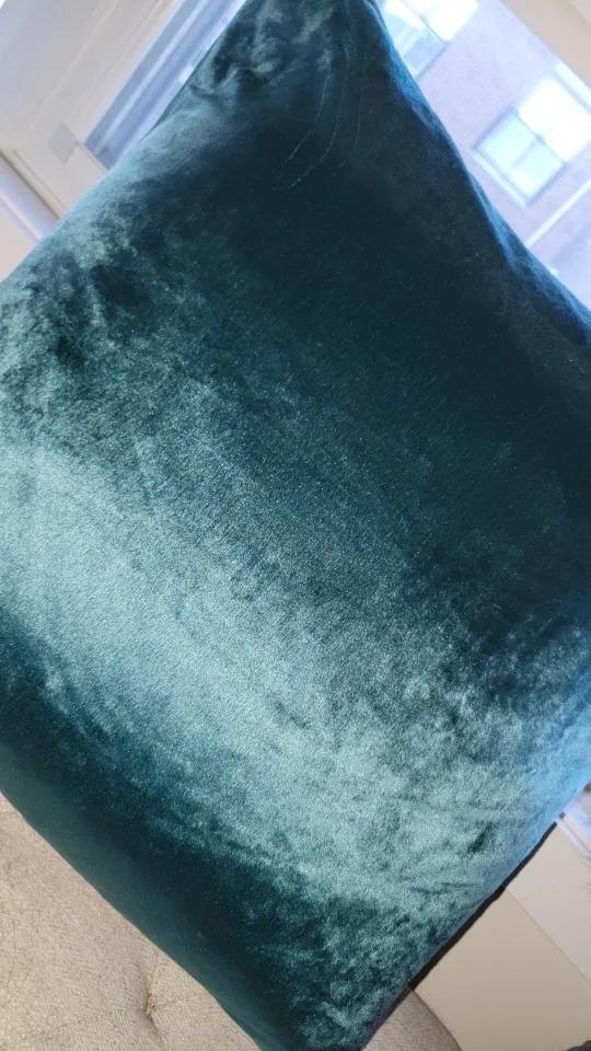 XL baroque style decorative down-feather filled Velvet Pillow image indicator(5)