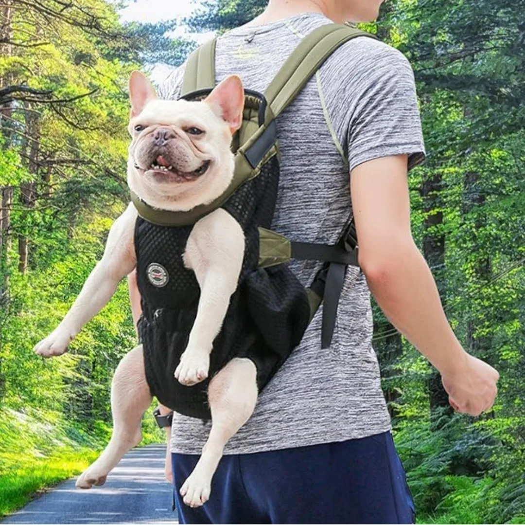 DogLemi Pet Carrier Backpack - Olive Green image indicator(5)