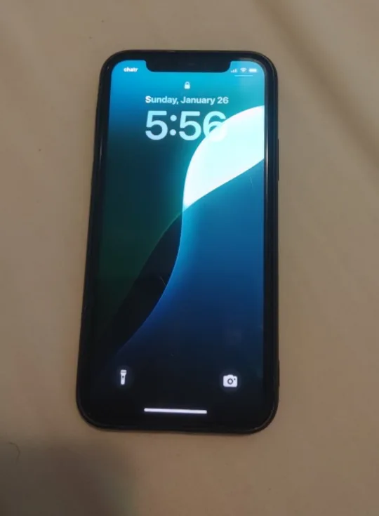 iPhone 11 Pro max- Space Grey image indicator(3)